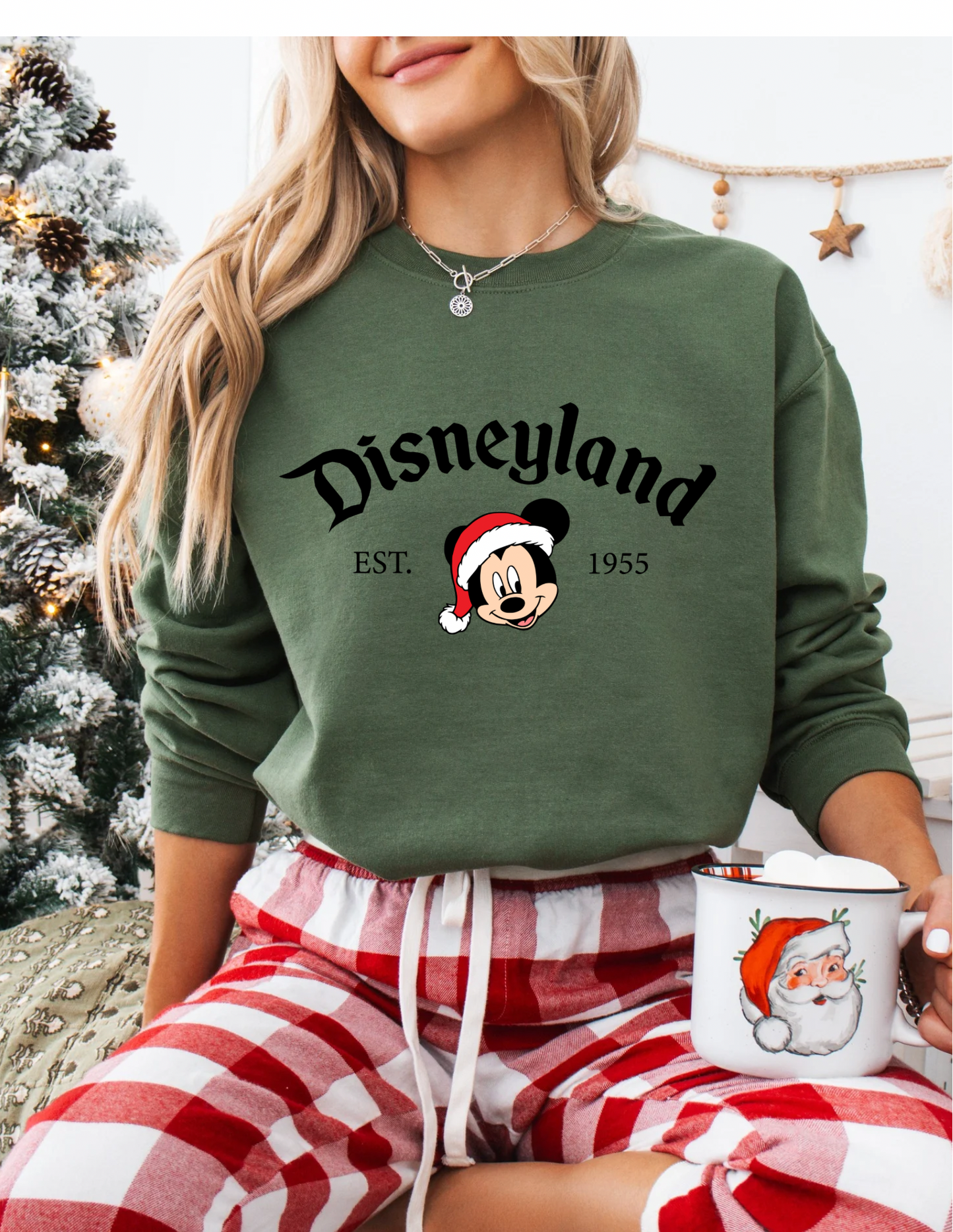 Christmas at Disneyland