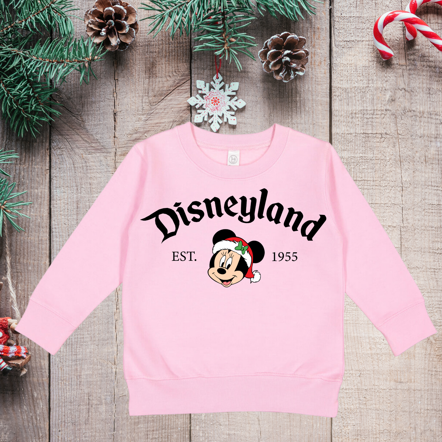 Toddler Christmas at Disneyland Minnie